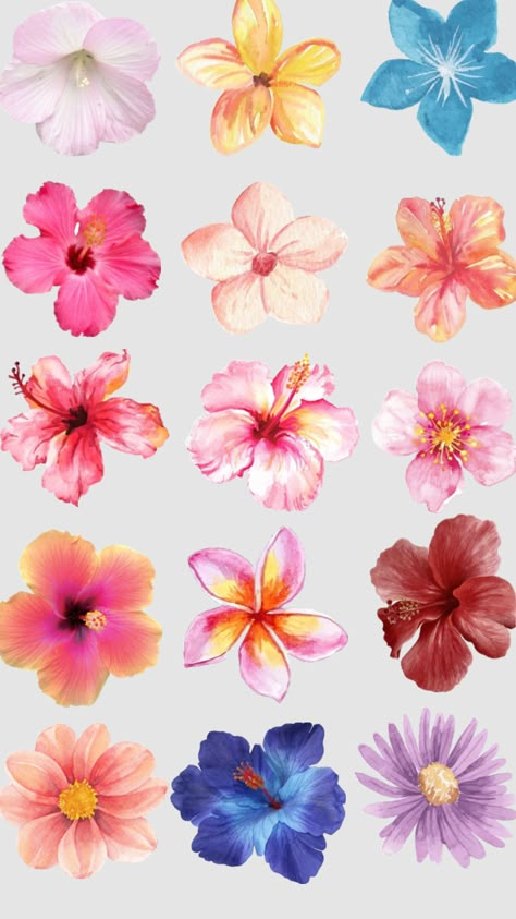 #flowers #drawings #aesthetic #wallpaper #cutouts Print Outs For Journal, Aesthetic Summer Flowers, Drawing Canvas Aesthetic, Aesthetic Flower Drawing Wallpaper, Cute Stickers Printable For Journal, Journal Wallpaper Aesthetic, Printable Stickers Flowers, Flowers Aesthetic Stickers, Flowers Stickers Printable