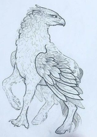 Mythical Creatures Line Art, Griffin Drawing Mythical Creatures, Hypogriff Drawing, Mystical Creatures Sketches, Harry Potter Creatures Drawing, Mythical Creatures Sketches, Hippogriff Drawing, Mythological Creatures Drawings, Gryphon Drawing