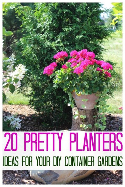 20 Pretty Planters. See my neighbors' beautiful and creative flower container gardens. Pretty flower planters for your front step or porch. Pink Geranium Planter Ideas, Flower Planters Outdoor, Geranium Planters, Front Yard Curb Appeal, Gemüseanbau In Kübeln, Diy Container Gardening, Pinterest Garden, Container Gardening Flowers, Flower Pot Garden