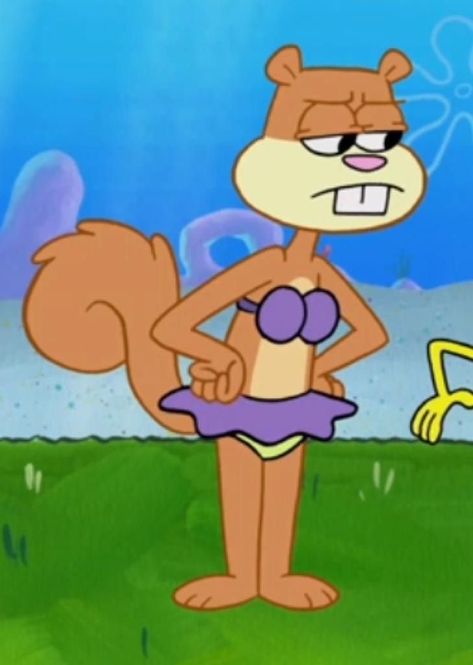 Sandy The Squirrel, Sandy Cheeks Spongebob, Sandy From Spongebob, Spongebob And Sandy, Spongebob Costume, Spongebob Friends, Spongebob Characters, Ur Amazing, Tommy Pickles