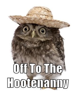 Off To The Hootenanny Happy Birthday Chicken, Cat Birthday Funny, Owl Png, Funny Happy Birthday Song, Happy Birthday Cat, Owl Party, Happy Birthday Song, Singing Happy Birthday, Funny Happy Birthday