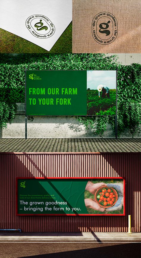 Brand Identity for a Farmers' startup on Behance Farmers Market Advertisement, Green Brand Identity Design, Farm Brand Identity, Sustainable Brand Identity, Farming Branding, Farmers Market Branding, Farmer Branding, Eco Logo Design Branding, Agriculture Branding