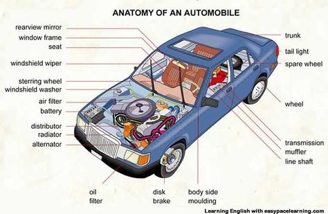 Learning the vocabulary for parts of a car inside and outside Parts Of A Car, Car Anatomy, Car Learning, Car Knowledge, Car Body Parts, Automobile Engineering, Picture Dictionary, Automotive Mechanic, Car Hacks