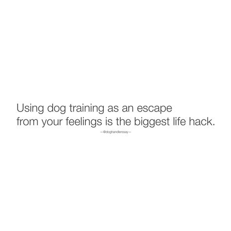 We’re here to drop off your daily dose of dog sport and training memes. #ThingsDogHandlersSay #DogTraining #DogSports #CanineAesthete Dog Trainer Quotes, Dog Training Quotes, Training Meme, Training Quotes, K9 Training, Pet Things, Dog Advice, Dog Search, Dc Memes