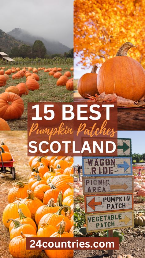 Omg, this list of the 15 best pumpkin patches Scotland is amazing and so detailed! I used this blog post to pick my own perfect pumpkin patch to visit for Halloween 2023 #pumpkinpatchscotland #pumpkinpatchesscotland #pumpkinpatchesglasgow Scotland Highlands Travel, Scotland Food, Scotland Aesthetic, Inverness Scotland, Europe Travel Essentials, Best Pumpkin Patches, Scotland Travel Guide, Aberdeen Scotland, Photography Group