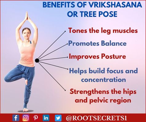 Benefits of vrikshasana or tree pose Tree Pose Benefits, October Month, Pelvic Region, Yoga Facts, Tree Pose, Leg Muscles, Yoga Everyday, Improve Posture, Yoga Challenge