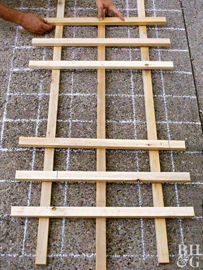 Bean Trellis, Simple Trellis, Building A Trellis, Wall Trellis, Wood Trellis, Arbors Trellis, Diy Garden Trellis, Wooden Trellis, Garden Obelisk