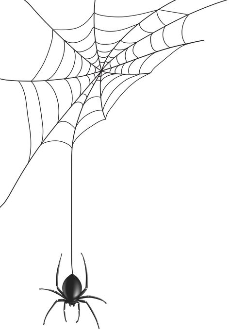 Spider Web Clip Art, Spider Images, Spider Web Clipart, Spider Web Png, Clip Drawing, Spooky Drawings, Spider Png, Web Drawing, Spider Cartoon