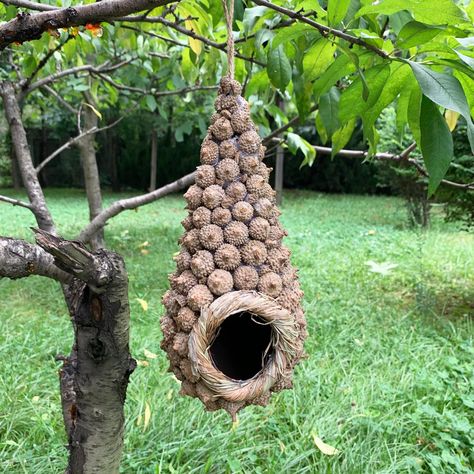 Wood birdhouses