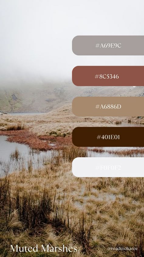 Muted color story inspired by Marshlands. Moody colors. Moody Feminine Color Palette, Muted Boho Color Palette, Moody Color Pallet, Roman Palette, Dune Color Palette, Moody Fall Color Palette, Dark Muted Color Palette, Mushroom Color Palette, Moody Earth Tones