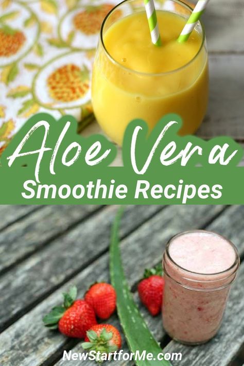 Aloe Vera Smoothie, Smoothie Shots, Types Of Aloe Plants, Aloe Vera Juice Recipes, Cleanse To Heal, Aloe Vera Juice Benefits, Coffee Breakfast Smoothie, Aloe Vera Recipes, Aloe Vera Uses