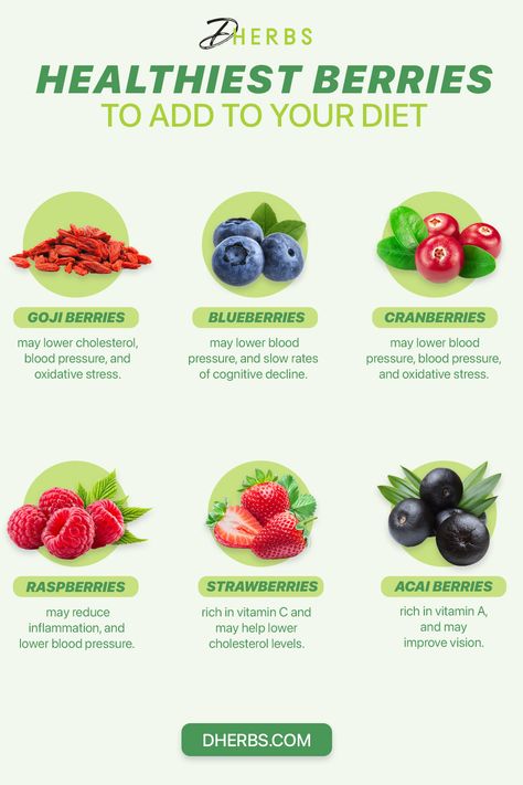 Cleanse Meals, Berry Benefits, Benefits Of Berries, Vegan Probiotics, Types Of Berries, English Knowledge, Anti Oxidant Foods, Wellness Workshop, Healthy Pregnancy Tips