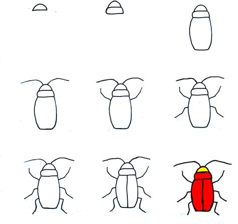 How To Draw A Cockroach - A Step by Step Guide 1 Cockroach Drawing, Lol Coloring Pages, Lol Coloring, Draw Two, Great Backgrounds, Guided Drawing, Drawing Easy, Drawing Lessons, Step By Step Guide