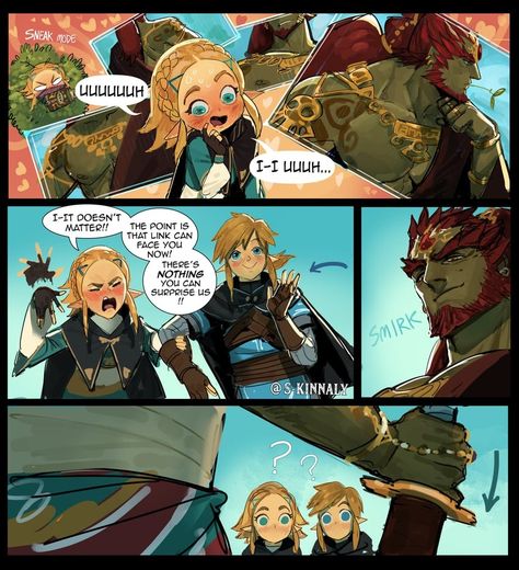 Link Zelda Art, Zelda Hyrule Warriors, Legend Of Zelda Characters, Legend Of Zelda Memes, Zelda Funny, Link Zelda, Nintendo Art, Gamer Humor, Zelda Art