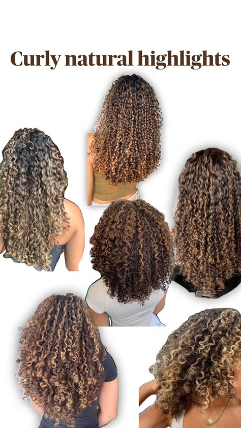 Curly natural highlights Curly Highlights, Hair Black Women, Dyed Curly Hair, Highlights Curly Hair, Mixed Curly Hair, Black Hair With Highlights, Natural Highlights, Colored Curly Hair, Natural Curls Hairstyles