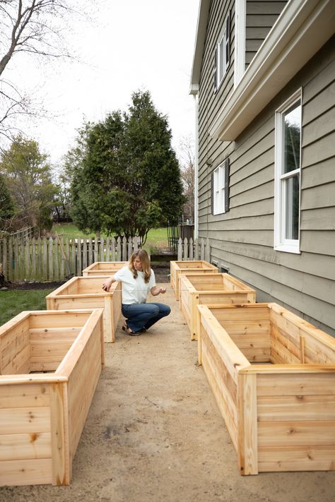 How Deep Should Your Raised Garden Beds Be? • Gardenary Raised Garden Designs, Type Of Plants, Starter Garden, Raised Garden Beds Diy Vegetables, Plants For Raised Beds, Building Raised Beds, Raised Bed Garden Design, Cedar Raised Garden Beds, Raised Vegetable Gardens