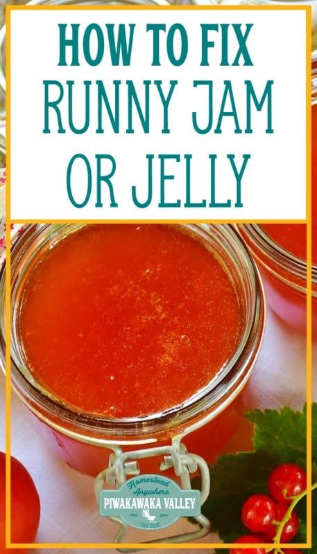 Mulberry Jelly Recipe, Jelly Maker, Peanut Butter And Jelly Sandwich, How To Make Jelly, Canning Fruit, Jelly Sandwich, Jam Recipes Homemade, Apple Jelly, Canning Jam