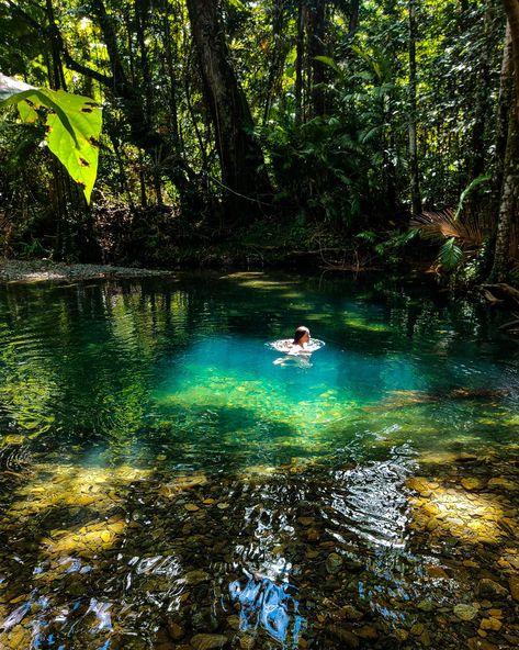 Rainforest Project, A Frame Camper, Greenhouse Home, Atherton Tablelands, 4 Bed House, J Hannah, Boho Australia, Camping Road Trip, Australian Road Trip