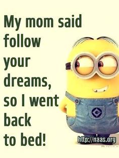 Jokes Hilarious Funny Minion, Hilarious Memes Truths, Life Memes Funny Truths Hilarious, Funny Quotes Clean Hilarious, Funny Minion Pictures Jokes, Funny Memes. Hilarious Cartoon, Cartoon Memes Hilarious, Minion Jokes Clean, Minion Jokes Friendship