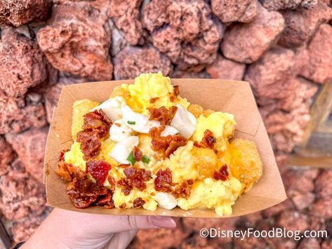 It's Official. This Is My NEW Favorite Breakfast in Disney World. | the disney food blog Breakfast Totchos, Potato Barrel, Disney Breakfast, Disney Foods, Nacho Cheese Sauce, Skipping Breakfast, Disney Food Blog, Crumbled Bacon, Breakfast Options