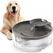 Water Fountain For Dogs, Big Fountain, Dog Fountain, Dog Water Bowl, Dog Water Fountain, Cat Fountain, Dog Water Bowls, Cat Water Fountain, Fountain Feature