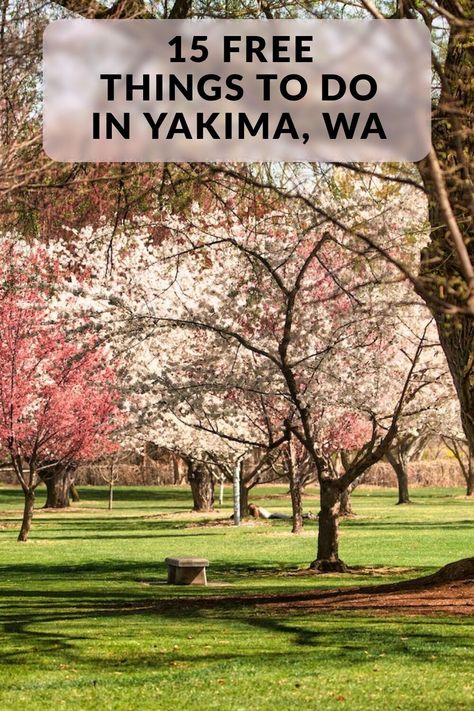 Discover the free things to do in Yakima, WA, including Yakima Valley Visitor Information Center, Cowiche Canyon, Yakima Sportsman State Park, and more! Yakima Valley, Shady Tree, Information Center, Summer Sunset, Oregon Travel, Free Things, Nature Trail, Free Things To Do, Fresh Air