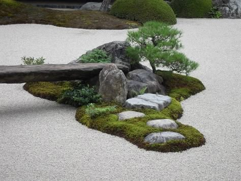 Same design would be great surrounded by unexpected white concrete Backyard Zen Garden Ideas, Adachi Museum Of Art, Japanese Rock Garden, Small Japanese Garden, Zen Rock Garden, Japanese Garden Landscape, Zen Garden Design, Japanese Zen Garden, Japan Garden