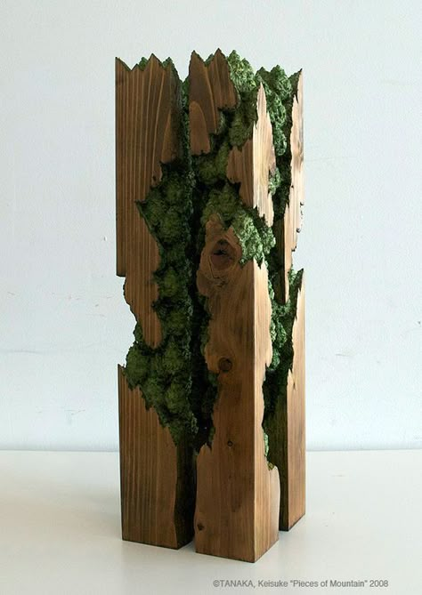 Mos Wand, Tre Kunst, Moss Wall Art, Easy Wood Projects, Moss Art, Moss Wall, Diy Holz, Deco Floral, Into The Woods