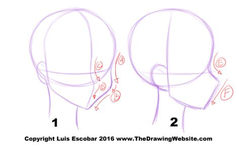 Anime Head Profile Reference, Anime Head 3/4 View, Side Profiles Tutorial, Draw Side Profile Face, How To Side Profile, Side Profile Art Tutorial, Anime Side Profile Tutorial, Side Pose Sketch, How To Draw A Side Face