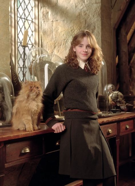 Hermione's Cat, Harry Potter Museum, Granger Aesthetic, Hermione Granger Aesthetic, Hogwarts Uniform, Emma Watson Harry Potter, Harry Potter Harry, Emma Watson Style, Harry Potter Hermione Granger