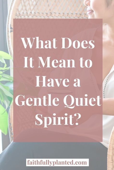 Do you have a gentle and a quiet spirit? 1 Peter 3:4 was a scary verse for me to read but I did not know what it really meant. Let's dive into that Scripture together! Gentle And Quiet Spirit, Quiet Spirit, Faith Goals, Christian Lifestyle Blog, Peter 3, Love Scriptures, Slow To Anger, Grow In Grace, Spirit Quotes