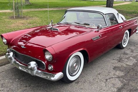 1956 Ford Thunderbird From a Long-Term Owner 1966 Ford Thunderbird, 1962 Thunderbird, 1965 Thunderbird, Ford Thunderbird 1955, 1959 Ford Thunderbird, Thunderbird Car, 1956 Ford Thunderbird, Different Shades Of Red, Christmas Painting