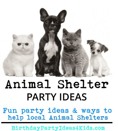 animal shelter party ideas for charity birthday Animal Rescue Party Ideas, Animal Rescue Booth Ideas, Animal Rescue Birthday Party Ideas, Animal Fundraiser Ideas, Birthday Fundraiser Ideas, Non Profit Fundraising Ideas Animal Rescue, Charity Birthday Party Ideas, Animal Rescue Birthday Party, Pet Rescue Birthday Party