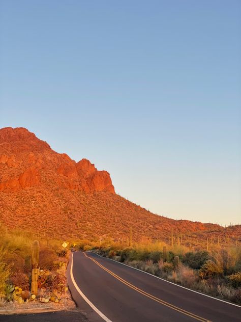 Tucson Aesthetic, Tucson Arizona Aesthetic, Desert Bandit, Yeehaw Aesthetic, Vintage Western Aesthetic, Desert Creatures, Desert Love, Arizona Aesthetic, Grand Canyon University