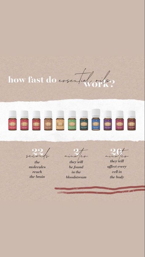 Young Living Starter Kit, Essential Oils Young Living, Eo Blends, Essential Oil Education, Essential Oils 101, What Are Essential Oils, Young Living Essential Oils Recipes, Yl Oils, Essential Oils Guide