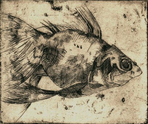 Drypoint Etching Printmaking, Etching Prints Printmaking, Etching Prints Dry Point, Intaglio Printmaking Etchings, Drypoint Printmaking Ideas, Dry Point Etching Printmaking, Etching Artists, Monoprinting Ideas, Fish Etching