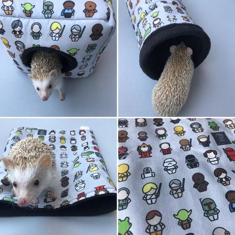 Hedgehog Care, Hedgehog Cage, Cube House, Pygmy Hedgehog, Pet Teepee, Hedgehog House, Handmade Pet, Hedgehogs, Pet Beds