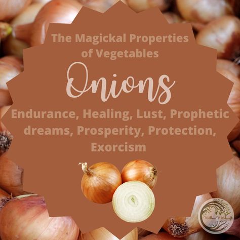 Onion Spiritual Meaning, Onion Magical Properties, Onion Witchcraft, Witch Diet, Magical Herbs Witchcraft, Nye Food, Kitchen Witchcraft, Kitchen Magick, Herbal Witch