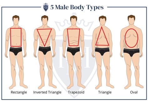 Body Shape & Men's Style - How To Dress For Your Body Type - RealMenRealStyle Male Body Types, Mens Body Types, Male Body Shapes, Mens Body, Types Of Body Shapes, Dress Body Type, Herren Style, Style Masculin, Design Jersey