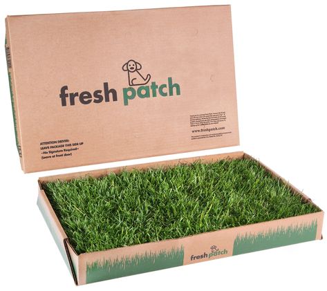 FRESH PATCH: The Official Real Grass Dog Potty and Training Website Indoor Dog Potty, Pet Grass, Dog Pee Pads, Puppy Obedience Training, Apartment Dogs, Positive Dog Training, Easiest Dogs To Train, Dog Potty Training, Dog Potty