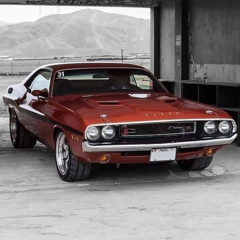 Dodge Classic, Dodge Challenger 1970, Plymouth Road Runner, Plymouth Duster, Dodge Muscle Cars, Mopar Muscle Cars, Vintage Muscle Cars, Custom Muscle Cars, Pony Car