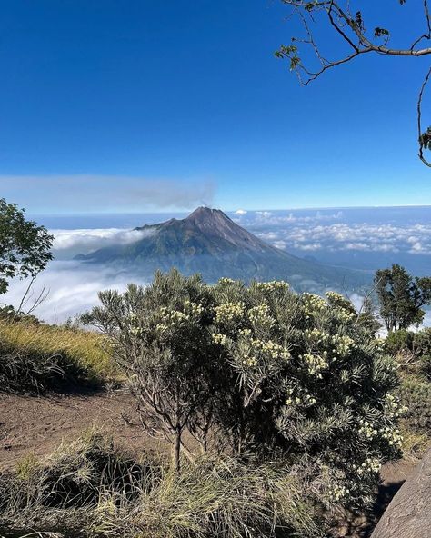 Merbabu Mountain📍 . all I need rn. . peacful w/ @chkalifia 🪧 #mountain #hike #peacful #silence #photography #zen #aesthetic #fyp #minimalist #art #designer On Top Of A Mountain Aesthetic, Top Of Mountain Aesthetic, Japanese Mountains Aesthetic, Merbabu Mountain, Meditation In Nature Aesthetic, Silence Photography, Buddha In Mountain, Zen Aesthetic, Mountain Hike