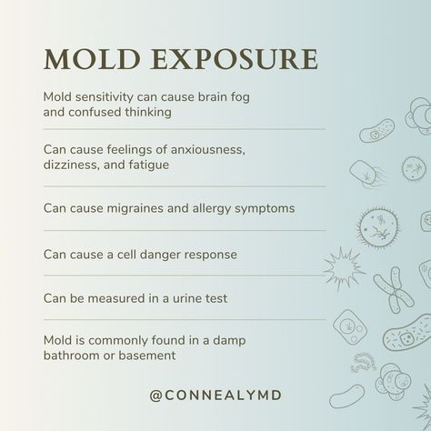 Mold Poisoning Symptoms, Mold Toxicity Symptoms, Black Mold Symptoms, Mold Toxicity, Mold Illness, Mold Exposure, Toxic Mold, Allergy Symptoms, Brain Fog