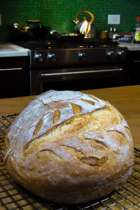 Two Hour Artisan Bread -Easy Fast Bread Recipe - Clove and Cumin Easy Fast Bread Recipe, Fast Bread Recipe, Artisan Bread Dutch Oven, Garlic Rosemary Bread, Fastest Bread Recipe, Boule Bread, Artisan Bread Recipe, Fast Bread, Baking Breakfast