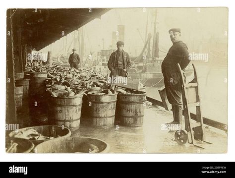 Download this stock image: Early 1900's image of fishmongers at the old Billingsgate Fish Market, with a huge quantity of fish in crates, London, U.K. circa 1910 - 2G9P1CW from Alamy's library of millions of high resolution stock photos, illustrations and vectors. Stall Illustration, Paris 1800, Rowing Aesthetic, Fish And Chip Shop, Isle Of Dogs, Market Sign, Fishing Signs, Shop Illustration, Fish Market