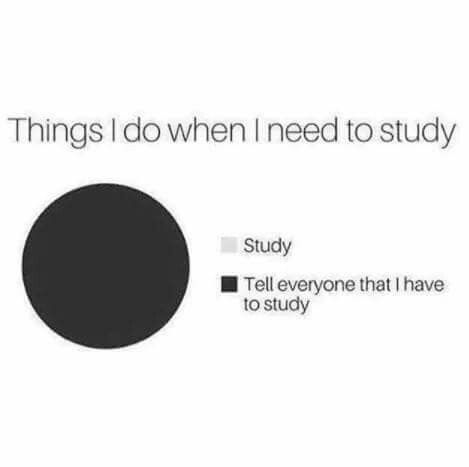 University Memes, Healthy Lifestyle Motivation Quotes, Funny Bio Quotes, Funny Bio, Nerdy Jokes, Nerdy Humor, Studying Memes, Siblings Funny, Ending Quotes