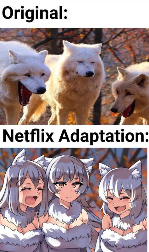 White Wolf Art, Netflix Adaptation, Funny Today, Wildlife Photos, 웃긴 사진, Anime Jokes, White Wolf, Anime Meme, Dessin Adorable