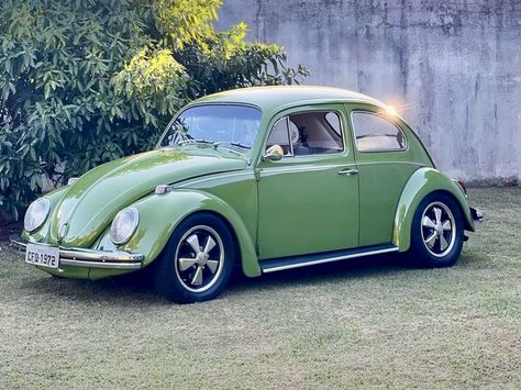 Slug Bug, Pretty Cars, Slug, Love Bugs, Bugs, Volkswagen, Cars Trucks, Trucks, Cars