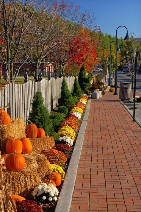 Fall Landscaping, Outside Fall Decor, Pumpkins And Gourds, Halloween Tattoo, White Picket Fence, Autumn Decorating, Fall Outdoor Decor, Welcome Fall, Autumn Scenery