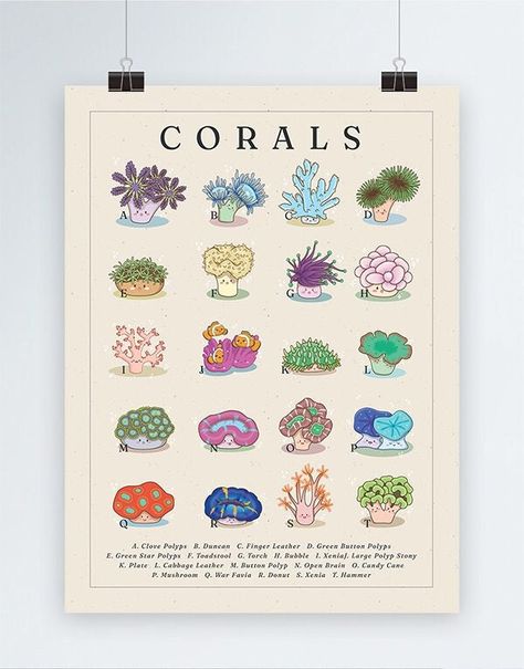 Welcome to the Coral collection series! Coral Species Poster In Various Sizes available. Note: Frame not included, just the poster. :-) Other Collectiosn & Other Aquatic Life Shirts available in my store! Please refer to size charting if you are unsure about the sizing. Museum-quality posters made on thick and durable matte paper. Add a wonderful accent to your room and office with these posters that are sure to brighten any environment. * Paper thickness: 10.3 mil * Paper weight: 5.57 oz/y² (189 g/m²) * Giclée printing quality * Opacity: 94% * ISO brightness: 104% Don't see a design you are looking for? Send it us your requests we are always looking for new ideas! Thanks for stopping by and supporting our small business! Species Poster, Aquatic Life, Whale Shark, Fishing Humor, Gift Wrapping Services, Coral Reef, Fishing Shirts, Poster Making, Wall Collage